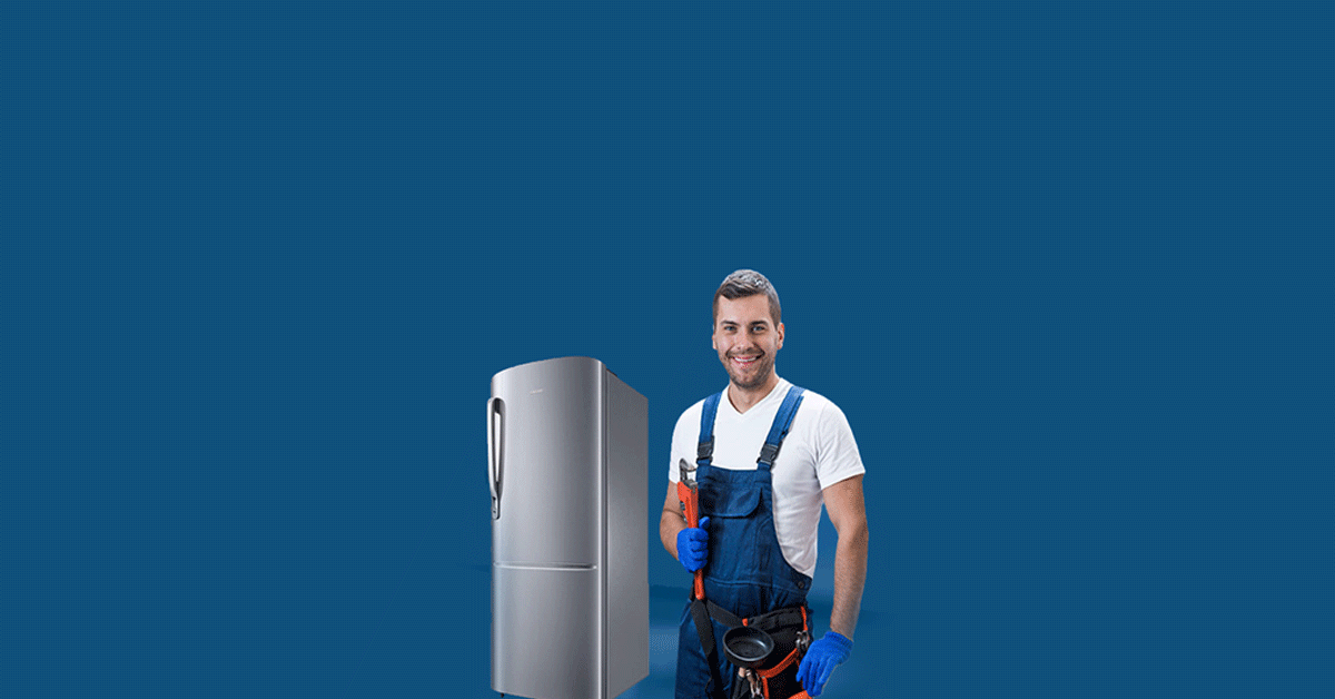 Fridge Repair