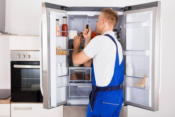 Fridge Repair Project